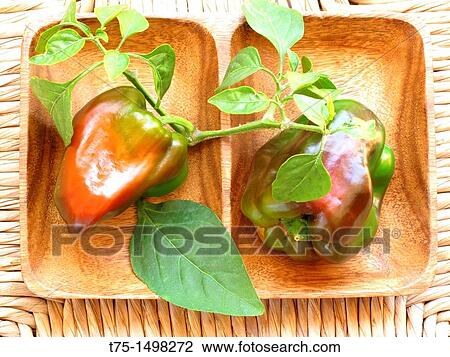 Bio peppers View Large Photo Image Stock Image - Bio peppers. Fotosearch