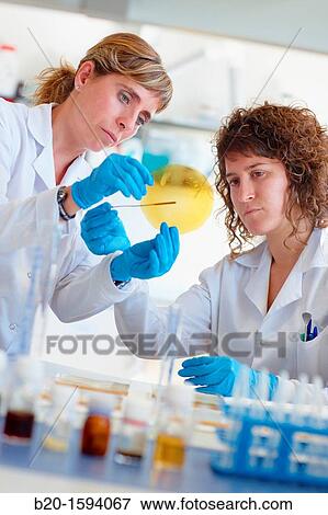 Biodegradable films for application in food preservation View Large Photo Image Stock Photo - Biodegradable films for application in food preservation. Fotosearch