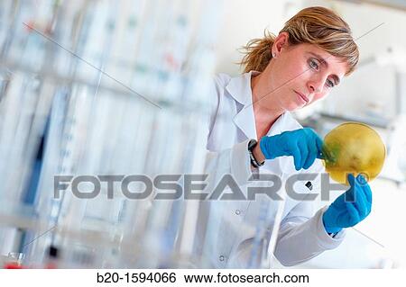 Stock Photograph - Biodegradable films for application in food preservation. Fotosearch