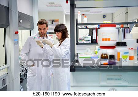Bioengineering and Microbiology Laboratory, Microelectronics and Microsystems Unit, CEIT (Center of Studies and Technical Research), University of Navarra, Donostia, Gipuzkoa, Basque Country, Spain View Large Photo Image Stock Image - Bioengineering and Microbiology Laboratory, Microelectronics and Microsystems Unit, CEIT (Center of Studies and Technical Research), University of Navarra, Donostia, Gipuzkoa, Basque Country, Spain. Fotosearch