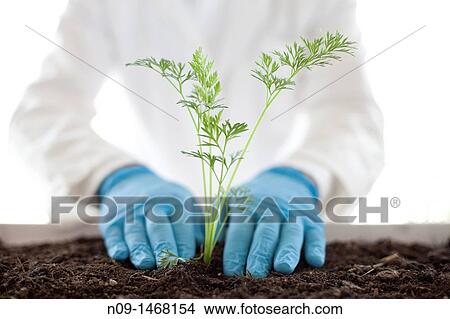 Biogenetic Research View Large Photo Image Picture - Biogenetic Research. Fotosearch