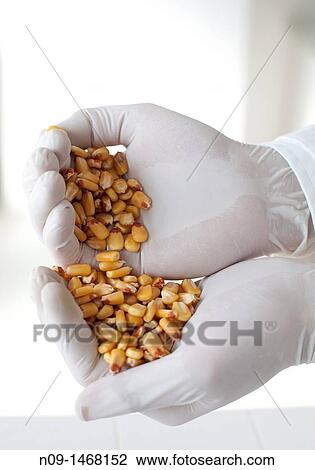 Biogenetic Research View Large Photo Image Stock Image - Biogenetic Research. Fotosearch