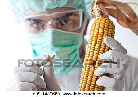 Biogenetic Research View Large Photo Image Stock Image - Biogenetic Research. Fotosearch