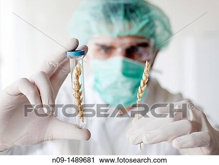 Biogenetic Research View Large Photo Image Stock Image - Biogenetic Research. Fotosearch