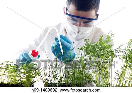 Biogenetic Research View Large Photo Image Stock Image - Biogenetic Research. Fotosearch