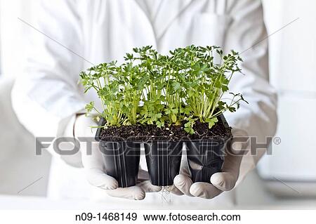 Biogenetic Research View Large Photo Image Stock Photo - Biogenetic Research. Fotosearch