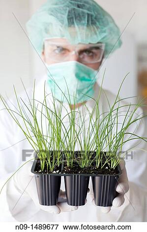 Biogenetic Research View Large Photo Image Stock Photo - Biogenetic Research. Fotosearch