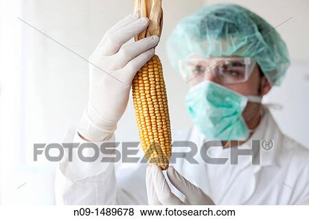 Biogenetic Research View Large Photo Image Stock Photo - Biogenetic Research. Fotosearch