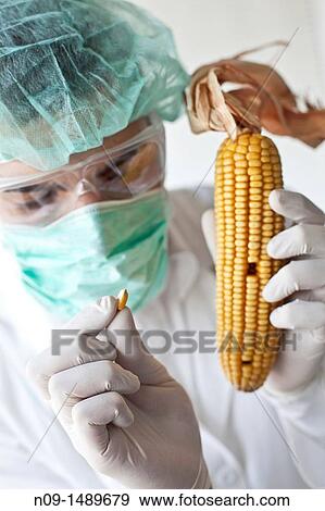 Biogenetic Research View Large Photo Image Stock Photo - Biogenetic Research. Fotosearch