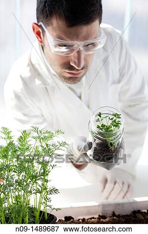 Biogenetic Research View Large Photo Image Stock Photo - Biogenetic Research. Fotosearch