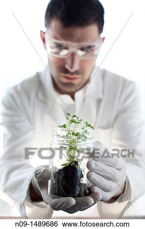 Biogenetic Research View Large Photo Image Stock Photograph - Biogenetic Research. Fotosearch