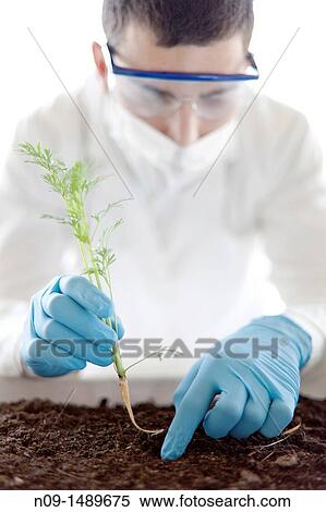 Biogenetic Research View Large Photo Image Stock Photography - Biogenetic Research. Fotosearch