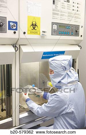Biological safety cabinet. Production room, grade B. Clean room. Laboratory, Fundaci? n Inbiomed, Genetrix Group. Center for research in stem cells and regenerative medicine. Donostia, San Sebastian, Euskadi. Spain. View Large Photo Image Stock Image - Biological safety cabinet. Production room, grade B. Clean room. Laboratory, Fundaci? n Inbiomed, Genetrix Group. Center for research in stem cells and regenerative medicine. Donostia, San Sebastian, Euskadi. Spain.. Fotosearch