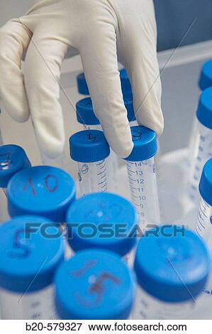 Biological samples. Quarantine zone (Grade C), clean room. Laboratory, Fundaci? n Inbiomed, Genetrix Group. Center for research in stem cells and regenerative medicine. Donostia, San Sebastian, Euskadi. Spain. View Large Photo Image Stock Photo - Biological samples. Quarantine zone (Grade C), clean room. Laboratory, Fundaci? n Inbiomed, Genetrix Group. Center for research in stem cells and regenerative medicine. Donostia, San Sebastian, Euskadi. Spain.. Fotosearch