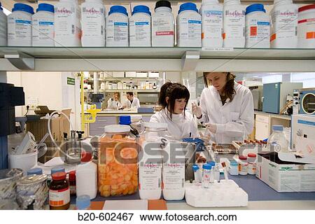 Biological test laboratory. Fundacion Inasmet-Tecnalia. Donostia, San Sebastian, Euskadi. Spain. View Large Photo Image Stock Photo - Biological test laboratory. Fundacion Inasmet-Tecnalia. Donostia, San Sebastian, Euskadi. Spain.. Fotosearch