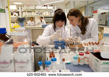 Biological test laboratory. Fundacion Inasmet-Tecnalia. Donostia, San Sebastian, Euskadi. Spain. View Large Photo Image Stock Photography - Biological test laboratory. Fundacion Inasmet-Tecnalia. Donostia, San Sebastian, Euskadi. Spain.. Fotosearch