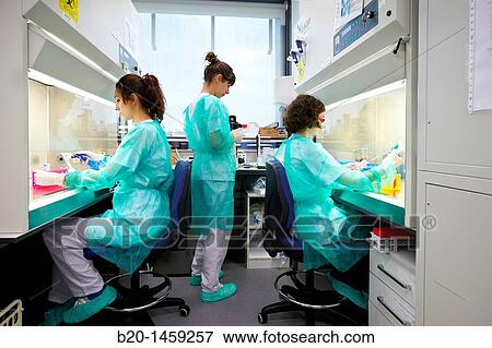 Biosafety cabinets, Cell Culture Unit, Research in Oncology and Regenerative Medicine, Biodonostia Health and Biomedicine Research Institute, San Sebastian, Donostia, Gipuzkoa, Euskadi, Spain View Large Photo Image Stock Photo - Biosafety cabinets, Cell Culture Unit, Research in Oncology and Regenerative Medicine, Biodonostia Health and Biomedicine Research Institute, San Sebastian, Donostia, Gipuzkoa, Euskadi, Spain. Fotosearch