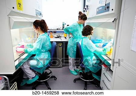 Biosafety cabinets, Cell Culture Unit, Research in Oncology and Regenerative Medicine, Biodonostia Health and Biomedicine Research Institute, San Sebastian, Donostia, Gipuzkoa, Euskadi, Spain View Large Photo Image Stock Photo - Biosafety cabinets, Cell Culture Unit, Research in Oncology and Regenerative Medicine, Biodonostia Health and Biomedicine Research Institute, San Sebastian, Donostia, Gipuzkoa, Euskadi, Spain. Fotosearch