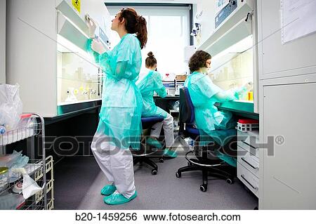 Biosafety cabinets, Cell Culture Unit, Research in Oncology and Regenerative Medicine, Biodonostia Health and Biomedicine Research Institute, San Sebastian, Donostia, Gipuzkoa, Euskadi, Spain View Large Photo Image Stock Photograph - Biosafety cabinets, Cell Culture Unit, Research in Oncology and Regenerative Medicine, Biodonostia Health and Biomedicine Research Institute, San Sebastian, Donostia, Gipuzkoa, Euskadi, Spain. Fotosearch