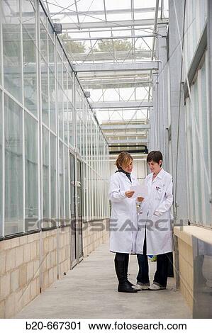 Biosafety greenhouse, P2, Neiker Tecnalia, Instituto de Investigaci? n y Desarrollo Agrario, Ganadero, Forestal y del Medio Natural, Arkaute, Alava, Euskadi, Spain. View Large Photo Image Stock Image - Biosafety greenhouse, P2, Neiker Tecnalia, Instituto de Investigaci? n y Desarrollo Agrario, Ganadero, Forestal y del Medio Natural, Arkaute, Alava, Euskadi, Spain.. Fotosearch