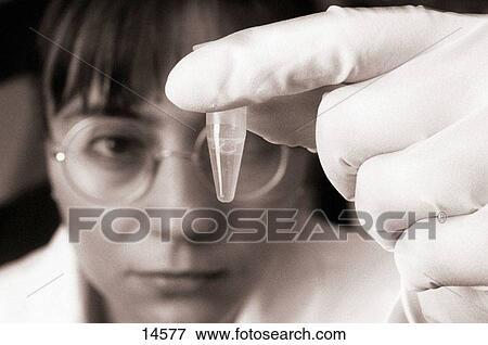 Biotechnology. Lab technician looking at cell culture View Large Photo Image Stock Photo - Biotechnology. Lab technician looking at cell culture. Fotosearch