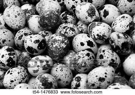 Stock Image - Bird eggs at a market in Bangkok. Fotosearch
