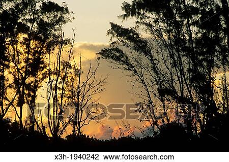 Bird Island at sunset, Republic of Seychelles, Indian Ocean View Large Photo Image Stock Image - Bird Island at sunset, Republic of Seychelles, Indian Ocean. Fotosearch