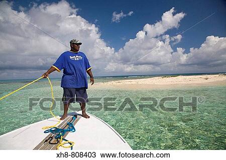 Bird Island, Belize View Large Photo Image Stock Image - Bird Island, Belize. Fotosearch