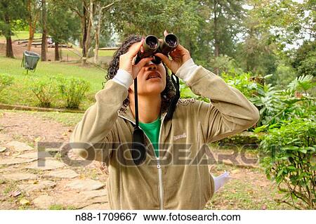 Birder, Venezuela View Large Photo Image Stock Photo - Birder, Venezuela. Fotosearch