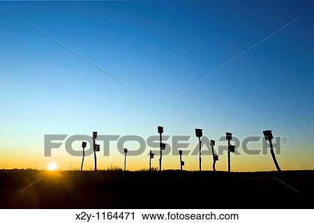 Birdhouses placed in a salt marsh, Sandwich, Cape Cod, MA, Massachusetts View Large Photo Image Stock Image - Birdhouses placed in a salt marsh, Sandwich, Cape Cod, MA, Massachusetts. Fotosearch