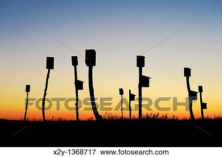 Birdhouses placed in a salt marsh, Sandwich, Cape Cod, MA, Massachusetts View Large Photo Image Stock Photo - Birdhouses placed in a salt marsh, Sandwich, Cape Cod, MA, Massachusetts. Fotosearch