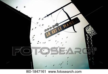 Stock Image - Birds in Sarlat-la-Can? da, Perigord noir, France. Fotosearch