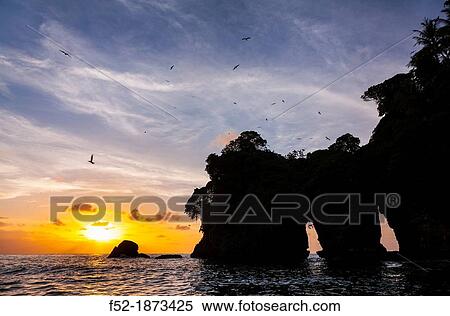 Birds Island, Bocas del Toro Archipelago, Bocas del Toro Province, Panama, Central America, America View Large Photo Image Stock Photography - Birds Island, Bocas del Toro Archipelago, Bocas del Toro Province, Panama, Central America, America. Fotosearch