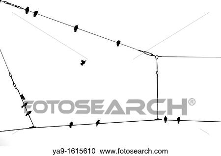 Stock Image - Birds on a wire. Fotosearch