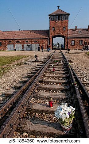 Birkenau Exterminating Camp tracks last train ride for prisoners Auschwitz Oswiecim Poland memorial flowers View Large Photo Image Stock Image - Birkenau Exterminating Camp tracks last train ride for prisoners Auschwitz Oswiecim Poland memorial flowers. Fotosearch