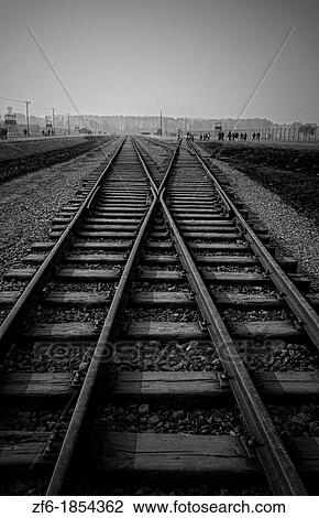Birkenau Exterminating Camp tracks last train ride for prisoners Auschwitz Oswiecim Poland View Large Photo Image Stock Image - Birkenau Exterminating Camp tracks last train ride for prisoners Auschwitz Oswiecim Poland. Fotosearch