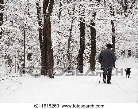 Bitsevsky park in winter Moscow, Russia View Large Photo Image Stock Image - Bitsevsky park in winter Moscow, Russia. Fotosearch