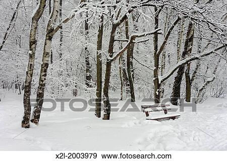 Bitsevsky Park in winter. Moscow, Russia. View Large Photo Image Stock Photo - Bitsevsky Park in winter. Moscow, Russia.. Fotosearch