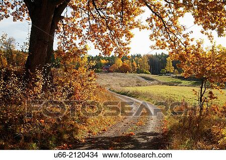 Picture - Bjornlunda, Sodermanland, Sweden.. Fotosearch