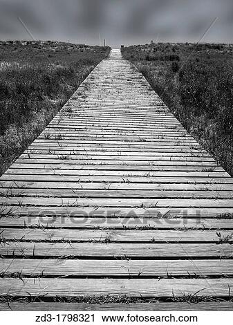 Black and white wooden boardwalk to the beach View Large Photo Image Stock Image - Black and white wooden boardwalk to the beach. Fotosearch
