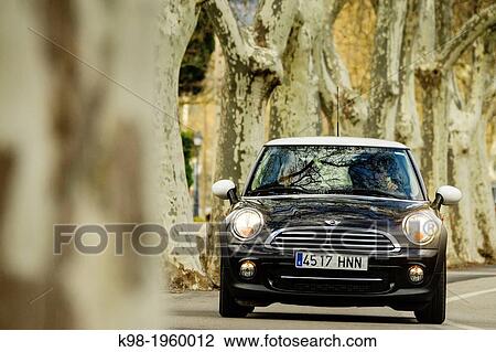 Stock Image - black car under the plane trees, Valldemossa, mallorca, Balearic Islands, Spain, europe.. Fotosearch