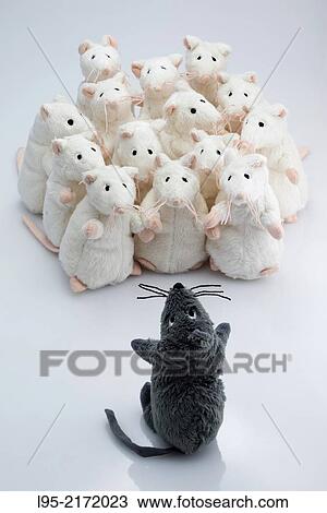 Black puppet mouse instructing leadership a group of coordinated human-like white mice. View Large Photo Image Stock Image - Black puppet mouse instructing leadership a group of coordinated human-like white mice.. Fotosearch