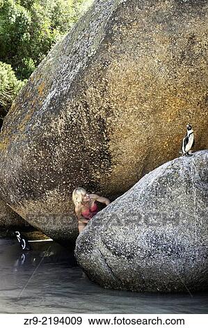 Blond Caucasian woman climbs between boulders to see African (jackass) Penguins, Boulders Beach National Park, Simonstown, South Africa. View Large Photo Image Stock Photo - Blond Caucasian woman climbs between boulders to see African (jackass) Penguins, Boulders Beach National Park, Simonstown, South Africa.. Fotosearch