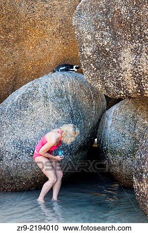 Blond woman peeks between rocks looking for African Jackass Penguins, Boulders Beach National Park, Simonstown, South Africa. View Large Photo Image Stock Image - Blond woman peeks between rocks looking for African Jackass Penguins, Boulders Beach National Park, Simonstown, South Africa.. Fotosearch