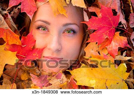 Blonde haired woman outdoors in leaf pile View Large Photo Image Stock Photo - Blonde haired woman outdoors in leaf pile. Fotosearch