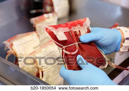 Blood Bags Refrigerator, Blood Bank Emergency Department, Hemotherapy, Donostia Hospital, San Sebastian, Donostia, Gipuzkoa, Basque Country, Spain View Large Photo Image Picture - Blood Bags Refrigerator, Blood Bank Emergency Department, Hemotherapy, Donostia Hospital, San Sebastian, Donostia, Gipuzkoa, Basque Country, Spain. Fotosearch