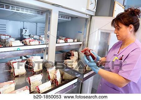 Blood Bags Refrigerator, Blood Bank Emergency Department, Hemotherapy, Donostia Hospital, San Sebastian, Donostia, Gipuzkoa, Basque Country, Spain View Large Photo Image Stock Image - Blood Bags Refrigerator, Blood Bank Emergency Department, Hemotherapy, Donostia Hospital, San Sebastian, Donostia, Gipuzkoa, Basque Country, Spain. Fotosearch