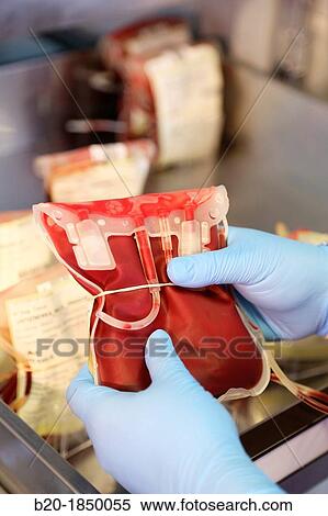 Stock Photography - Blood Bags Refrigerator, Blood Bank Emergency Department, Hemotherapy, Donostia Hospital, San Sebastian, Donostia, Gipuzkoa, Basque Country, Spain. Fotosearch