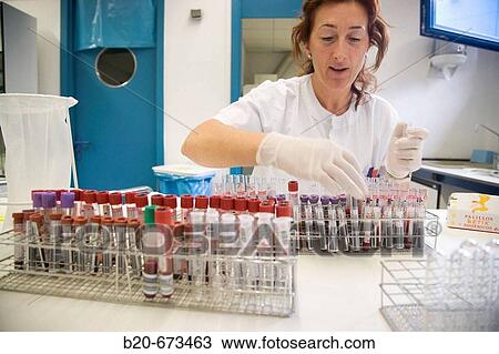 Stock Image - Blood serum, Laboratory of Diagnosis, Departamento de Producci? n y Sanidad Animal, Neiker Tecnalia, Instituto de Investigaci? n y Desarrollo Agrario, Ganadero, Forestal y del Medio Natural, Derio, Bizkaia, Euskadi, Spain. Fotosearch
