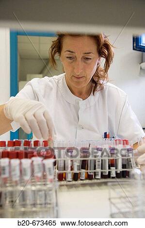 Stock Photography - Blood serum, Laboratory of Diagnosis, Departamento de Producci? n y Sanidad Animal, Neiker Tecnalia, Instituto de Investigaci? n y Desarrollo Agrario, Ganadero, Forestal y del Medio Natural, Derio, Bizkaia, Euskadi, Spain. Fotosearch